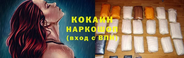 СК Алексин