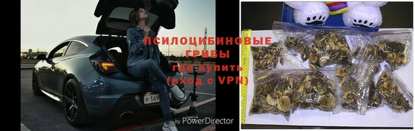 крисы Алексеевка