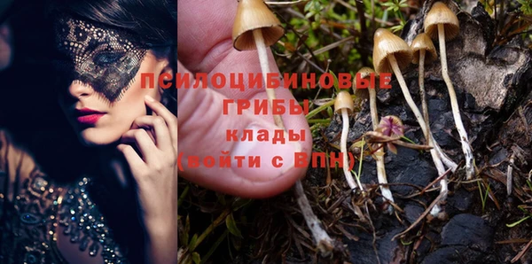 MESCALINE Весьегонск