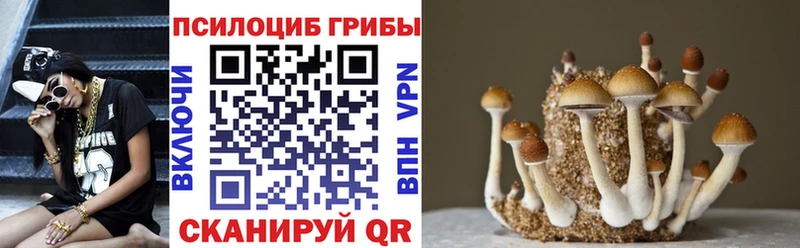 Галлюциногенные грибы мицелий  мориарти Telegram  Лысьва 